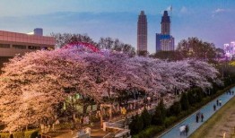 抖音吃瓜郑州,揭秘城市生活百态