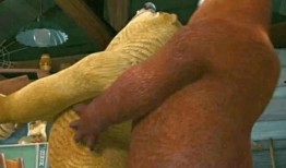 吃瓜视频老哥,带你领略网络红人的魅力与争议