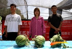 吃瓜主题照片高清图