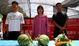 吃瓜主题照片高清图