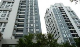 中央华庭吃瓜,揭秘豪宅里的吃瓜风云