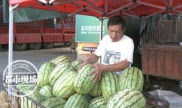 一天吃八瓜,健康生活新篇章