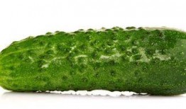 吃瓜可以瘦身吗