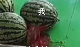 吃瓜恶心肚子,揭秘瓜类食物的神奇效应