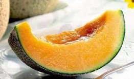 吃瓜连下载,揭秘热门瓜子的下载攻略与技巧