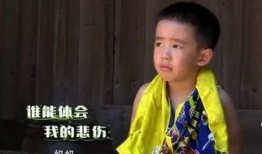 娱乐吃瓜酱陈小春