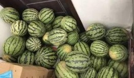 吃瓜群 名称,网络社交新现象背后的故事