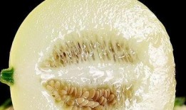 带你吃瓜盘点风扇,带你吃瓜盘点风扇那些事儿