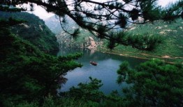 莱芜雪野吃瓜事件,一场引发热议的乡村误会