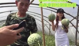 直播吃瓜群众进场,吃瓜群众热情高涨，齐聚一堂共赏精彩瞬间