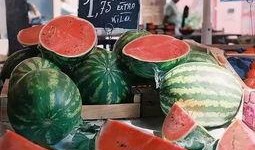 阿瓜吃货记,一场味蕾与美食的奇妙之旅