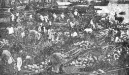 上海杀人吃瓜事件,人性扭曲背后的悲剧真相