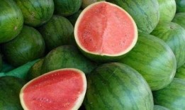 好想吃瓜免费吃瓜,免费畅享好想吃瓜的甜蜜诱惑